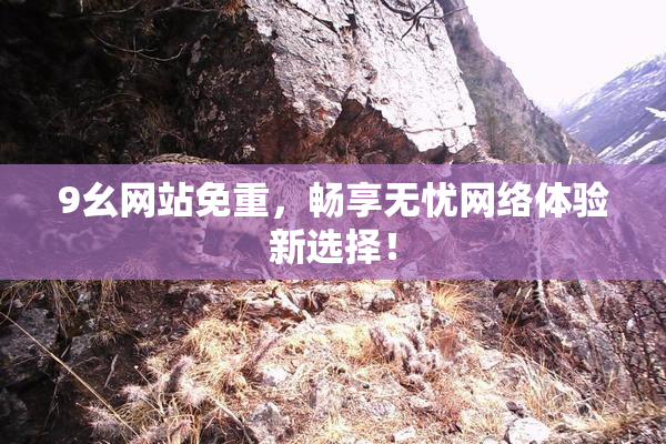 9幺网站免重，畅享无忧网络体验新选择！