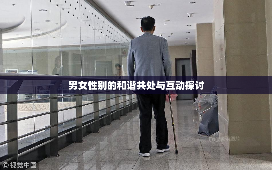 男女性别的和谐共处与互动探讨