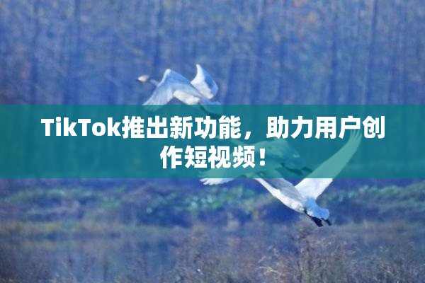 TikTok推出新功能，助力用户创作短视频！