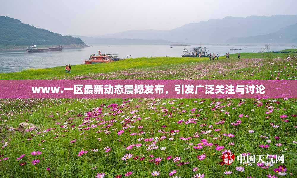 www.一区最新动态震撼发布，引发广泛关注与讨论