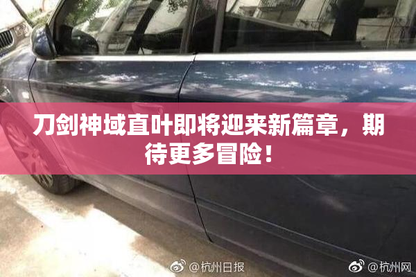 刀剑神域直叶即将迎来新篇章，期待更多冒险！