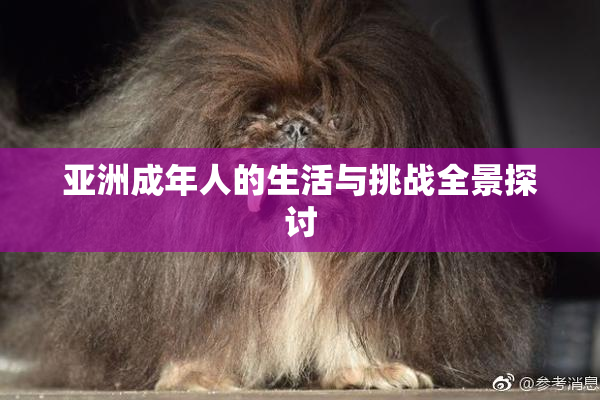 亚洲成年人的生活与挑战全景探讨