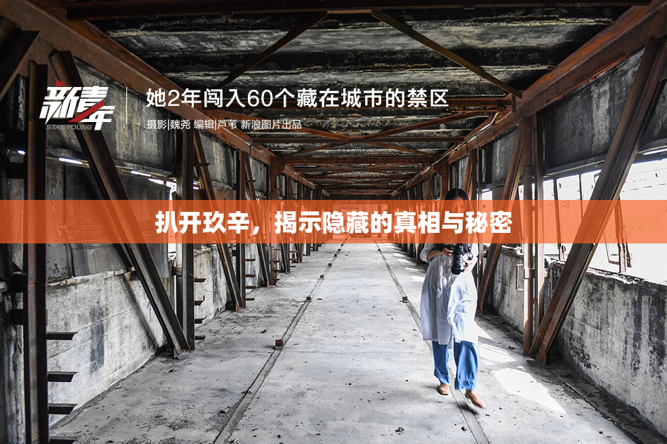 扒开玖辛，揭示隐藏的真相与秘密