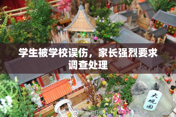 学生被学校误伤，家长强烈要求调查处理