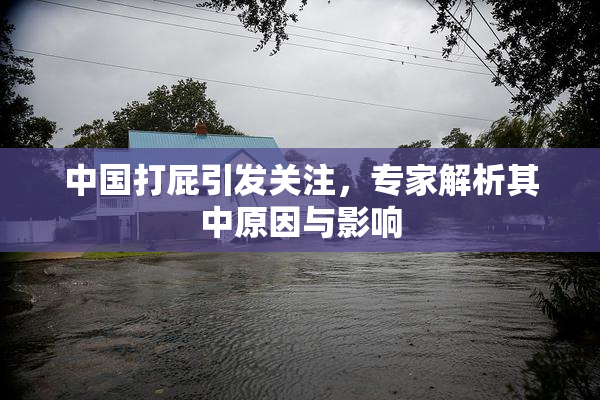 中国打屁引发关注，专家解析其中原因与影响