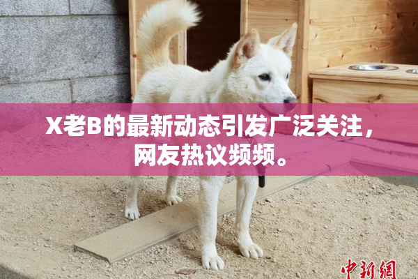 X老B的最新动态引发广泛关注，网友热议频频。
