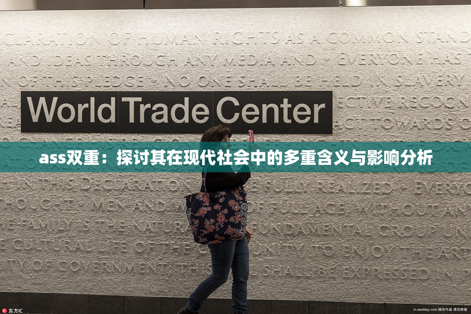 ass双重：探讨其在现代社会中的多重含义与影响分析