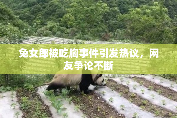 兔女郎被吃胸事件引发热议，网友争论不断