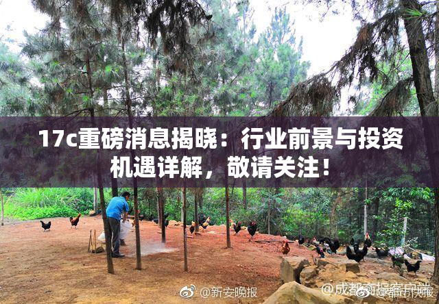 17c重磅消息揭晓：行业前景与投资机遇详解，敬请关注！