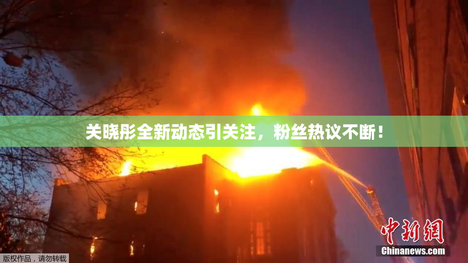 关晓彤全新动态引关注，粉丝热议不断！