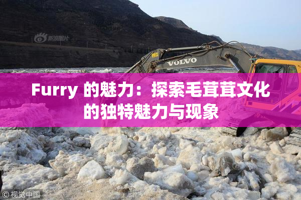 Furry 的魅力：探索毛茸茸文化的独特魅力与现象