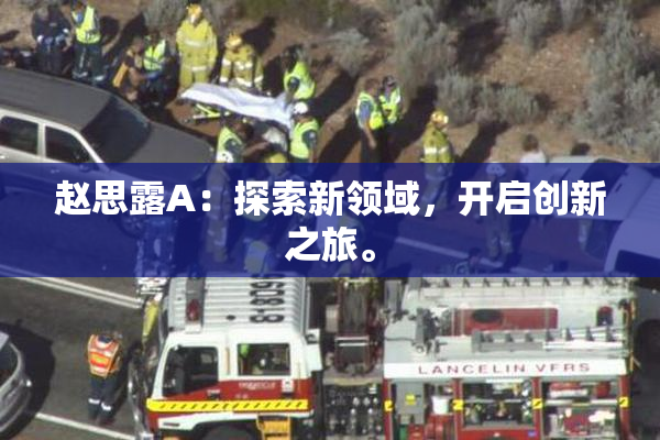 赵思露A：探索新领域，开启创新之旅。