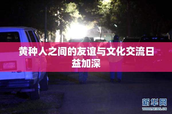 黄种人之间的友谊与文化交流日益加深