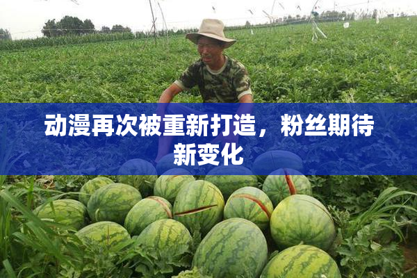 动漫再次被重新打造，粉丝期待新变化