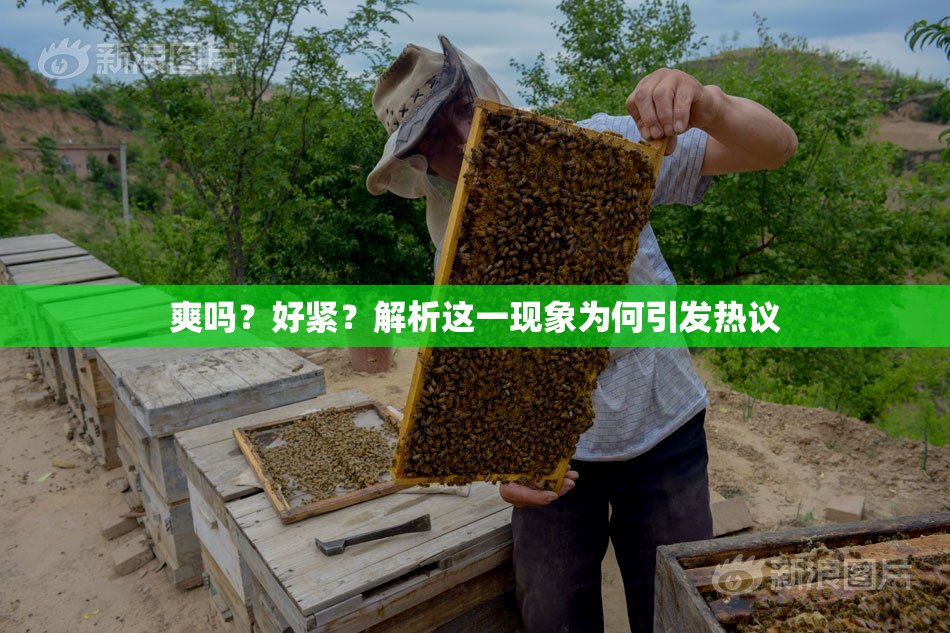 爽吗？好紧？解析这一现象为何引发热议
