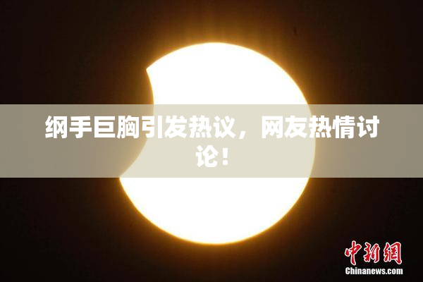 纲手巨胸引发热议，网友热情讨论！