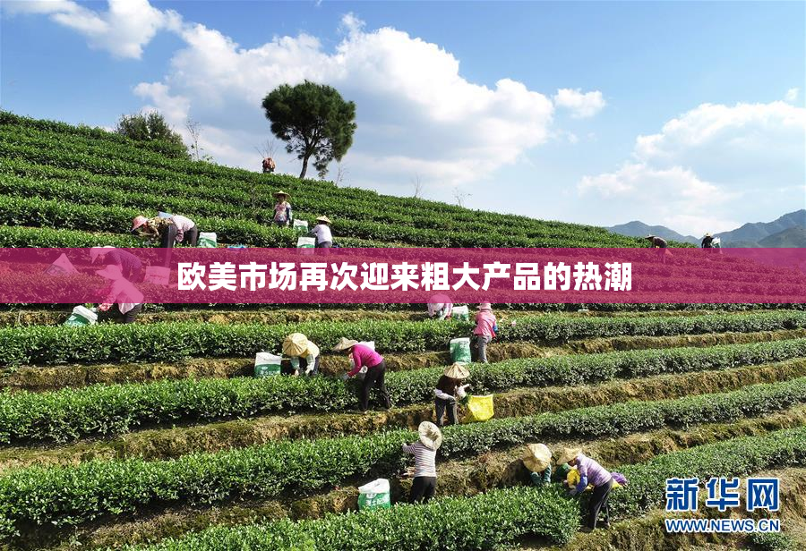 欧美市场再次迎来粗大产品的热潮