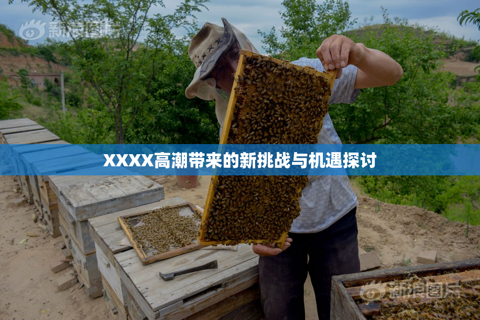 XXXX高潮带来的新挑战与机遇探讨