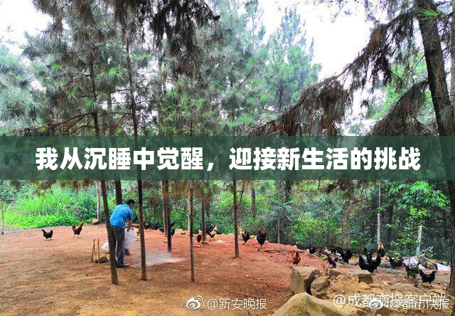 我从沉睡中觉醒，迎接新生活的挑战