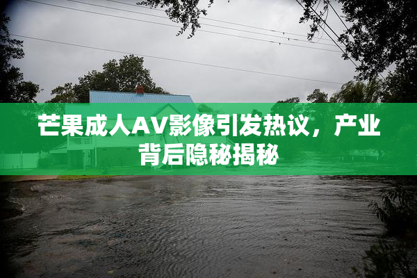 芒果成人AV影像引发热议，产业背后隐秘揭秘