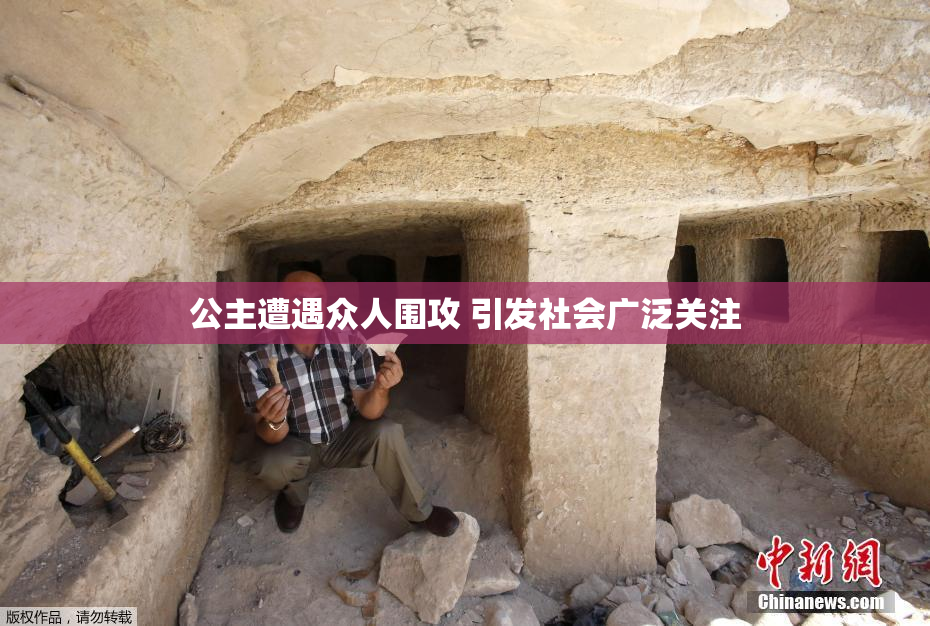 公主遭遇众人围攻 引发社会广泛关注
