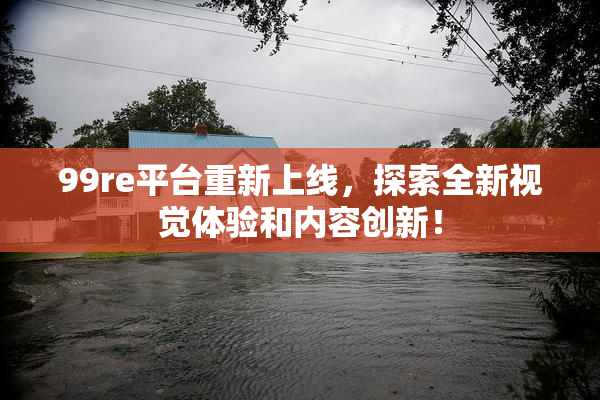 99re平台重新上线，探索全新视觉体验和内容创新！