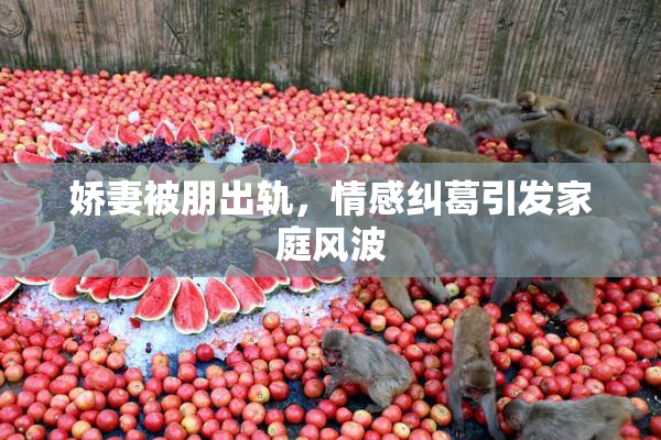 娇妻被朋出轨，情感纠葛引发家庭风波