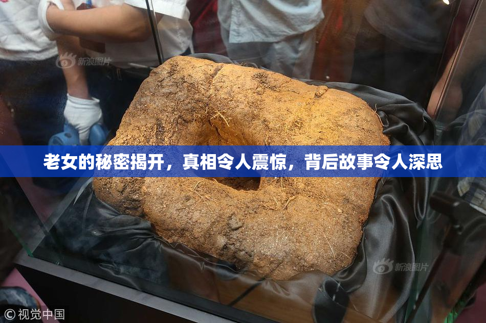 老女的秘密揭开，真相令人震惊，背后故事令人深思