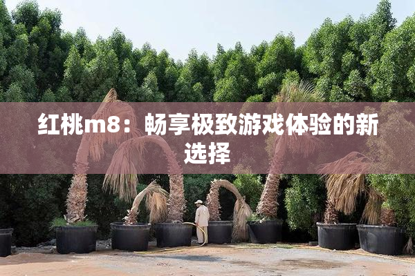 红桃m8：畅享极致游戏体验的新选择