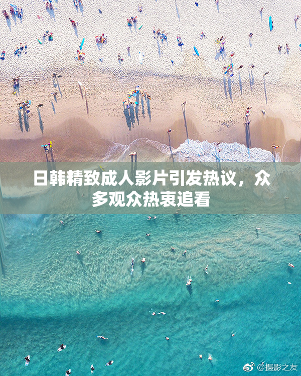 日韩精致成人影片引发热议，众多观众热衷追看