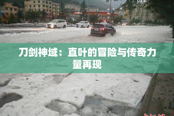 刀剑神域：直叶的冒险与传奇力量再现