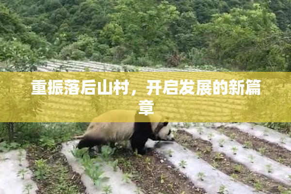 重振落后山村，开启发展的新篇章