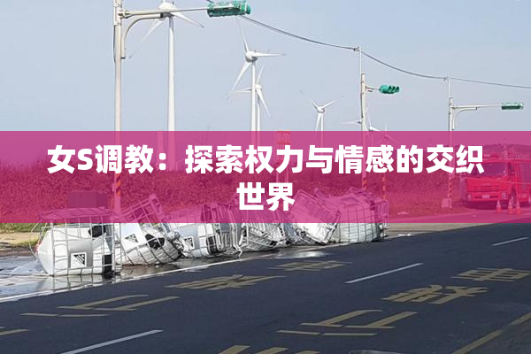 女S调教：探索权力与情感的交织世界