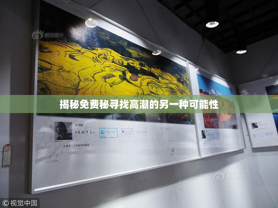 揭秘免费秘寻找高潮的另一种可能性