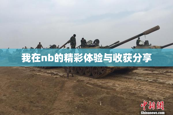 我在nb的精彩体验与收获分享