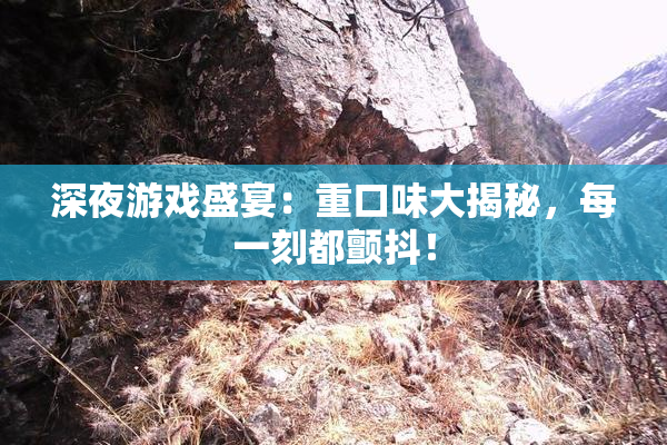 深夜游戏盛宴：重口味大揭秘，每一刻都颤抖！