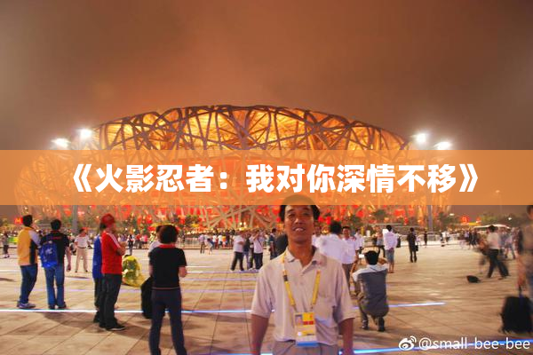 《火影忍者：我对你深情不移》