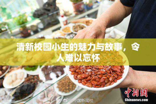 清新校园小生的魅力与故事，令人难以忘怀