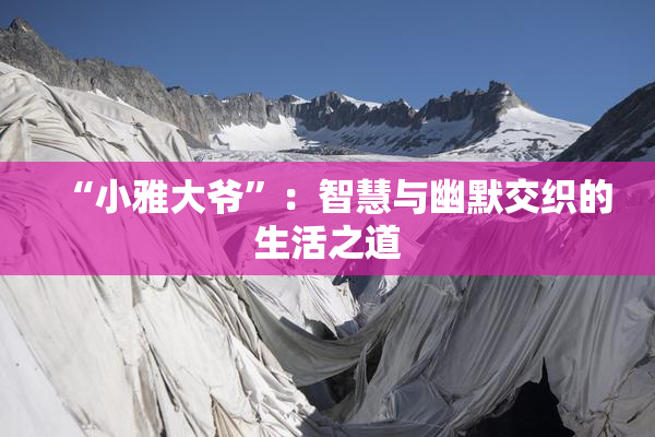 “小雅大爷”：智慧与幽默交织的生活之道