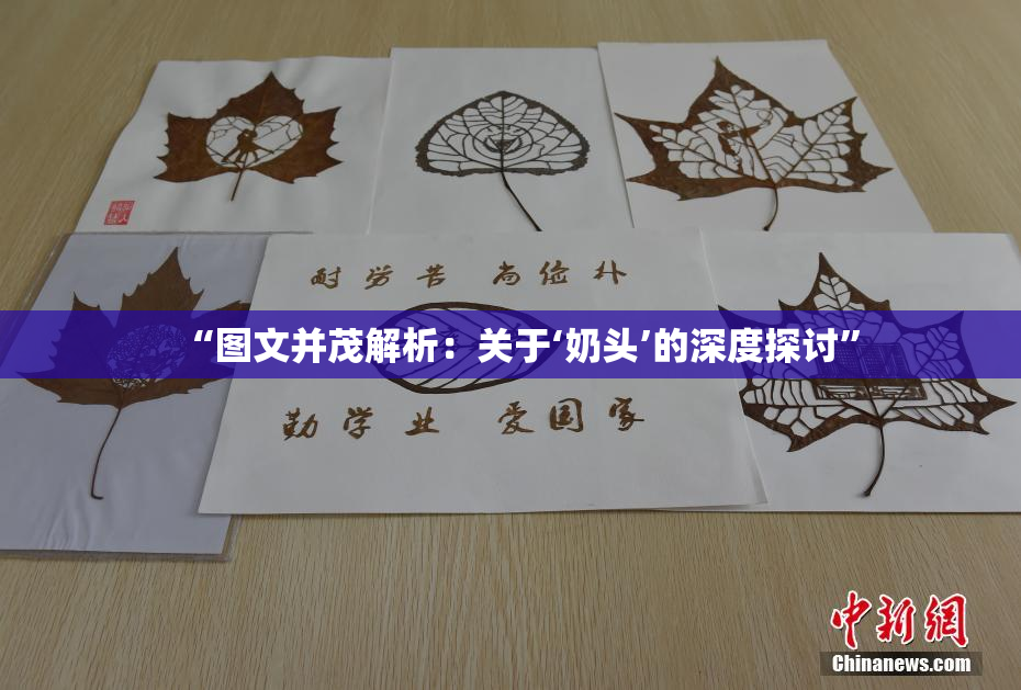 “图文并茂解析：关于‘奶头’的深度探讨”