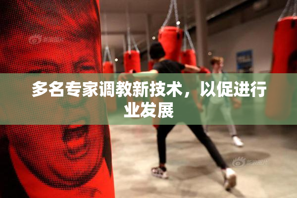 多名专家调教新技术，以促进行业发展