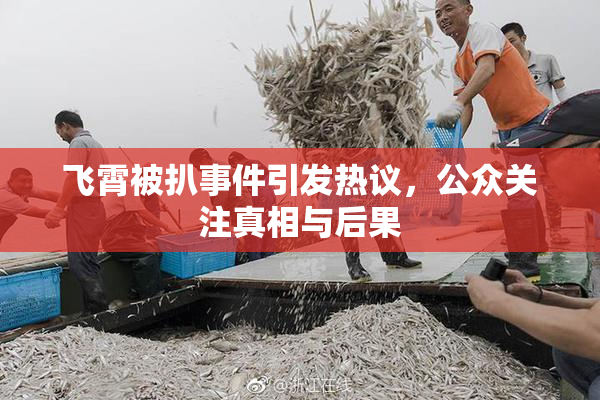 飞霄被扒事件引发热议，公众关注真相与后果