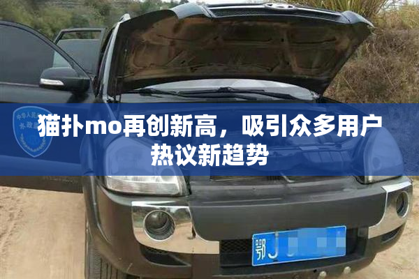 猫扑mo再创新高，吸引众多用户热议新趋势