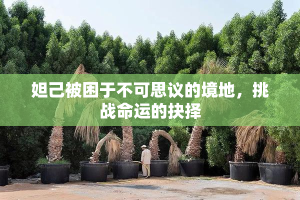 妲己被困于不可思议的境地，挑战命运的抉择