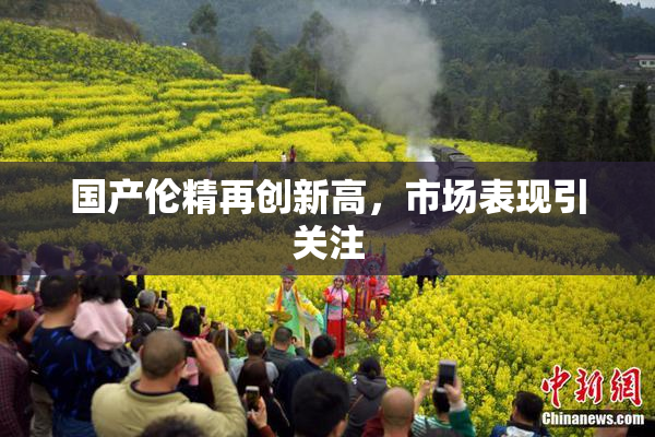 国产伦精再创新高，市场表现引关注