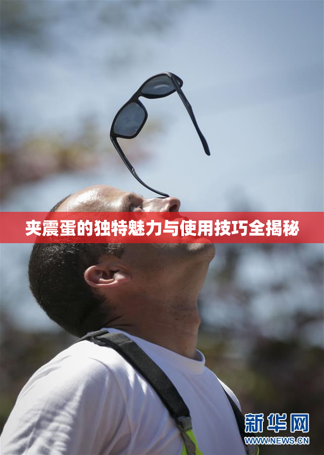 夹震蛋的独特魅力与使用技巧全揭秘