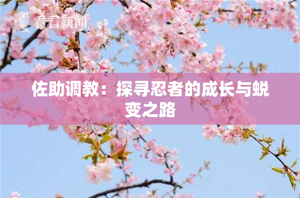 佐助调教：探寻忍者的成长与蜕变之路