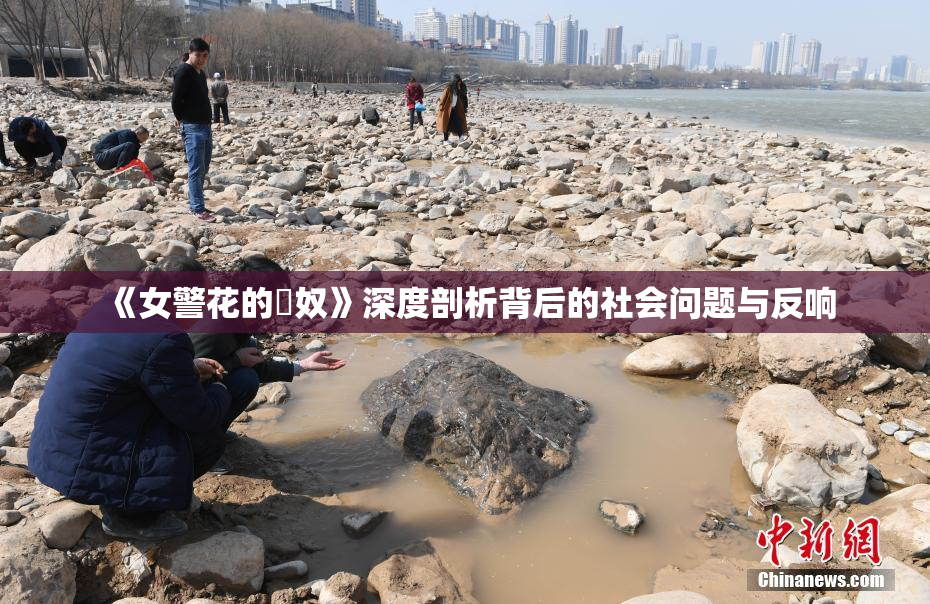 《女警花的婬奴》深度剖析背后的社会问题与反响