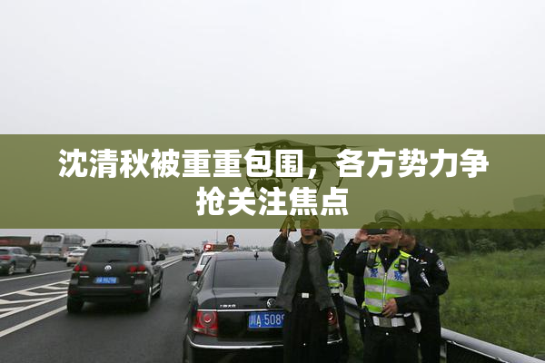 沈清秋被重重包围，各方势力争抢关注焦点