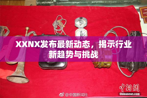 XXNX发布最新动态，揭示行业新趋势与挑战